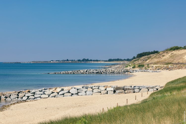 18.1-Bois des Eloux_LaGueriniere - ©Office de Tourisme Ile de Noirmoutier - ©Vendée Expansion(23)-S.BOURCIER-01.01.2043