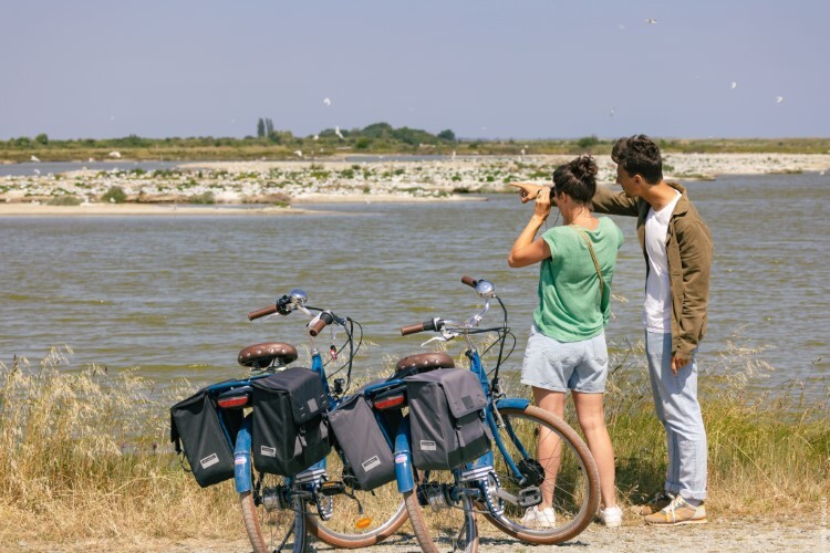 18.4-Polder_Barbatre - ©Office de Tourisme Ile de Noirmoutier - ©Vendée Expansion - ©Simon Bourcier (2)-S.BOURCIER-01.01.2043