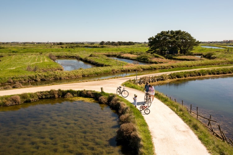 20.2-Copyright_Simon_Bourcier_vélo_marais_Ile_d_Olonne_15-S.BOURCIER-31.01.2032